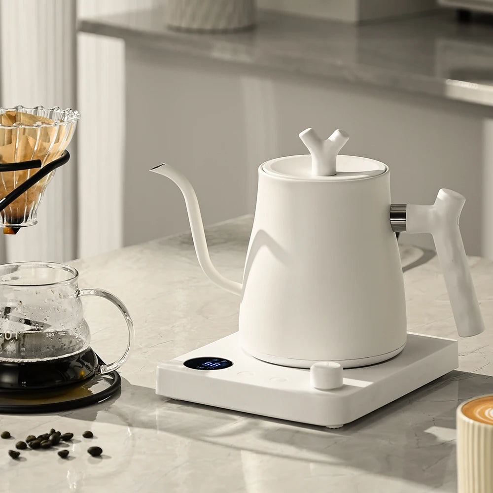 1000W Electric Gooseneck Kettle – 1L Stainless Steel Coffee & Tea Pot