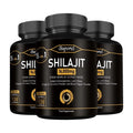 Himalaya Shilajit Energy Capsules