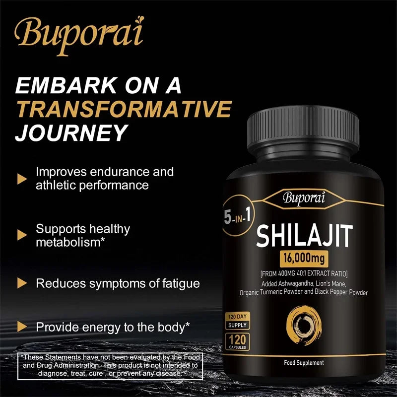 Himalaya Shilajit Energy Capsules