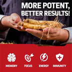 Korean Red Ginseng Capsules