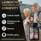 NAD+ Resveratrol Berberine Capsules