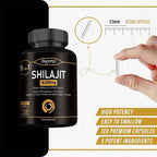 Himalaya Shilajit Energy Capsules