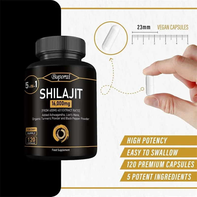 Himalaya Shilajit Energy Capsules