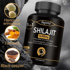 Himalaya Shilajit Energy Capsules