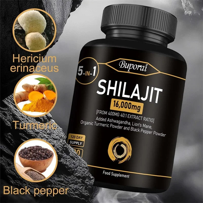 Himalaya Shilajit Energy Capsules